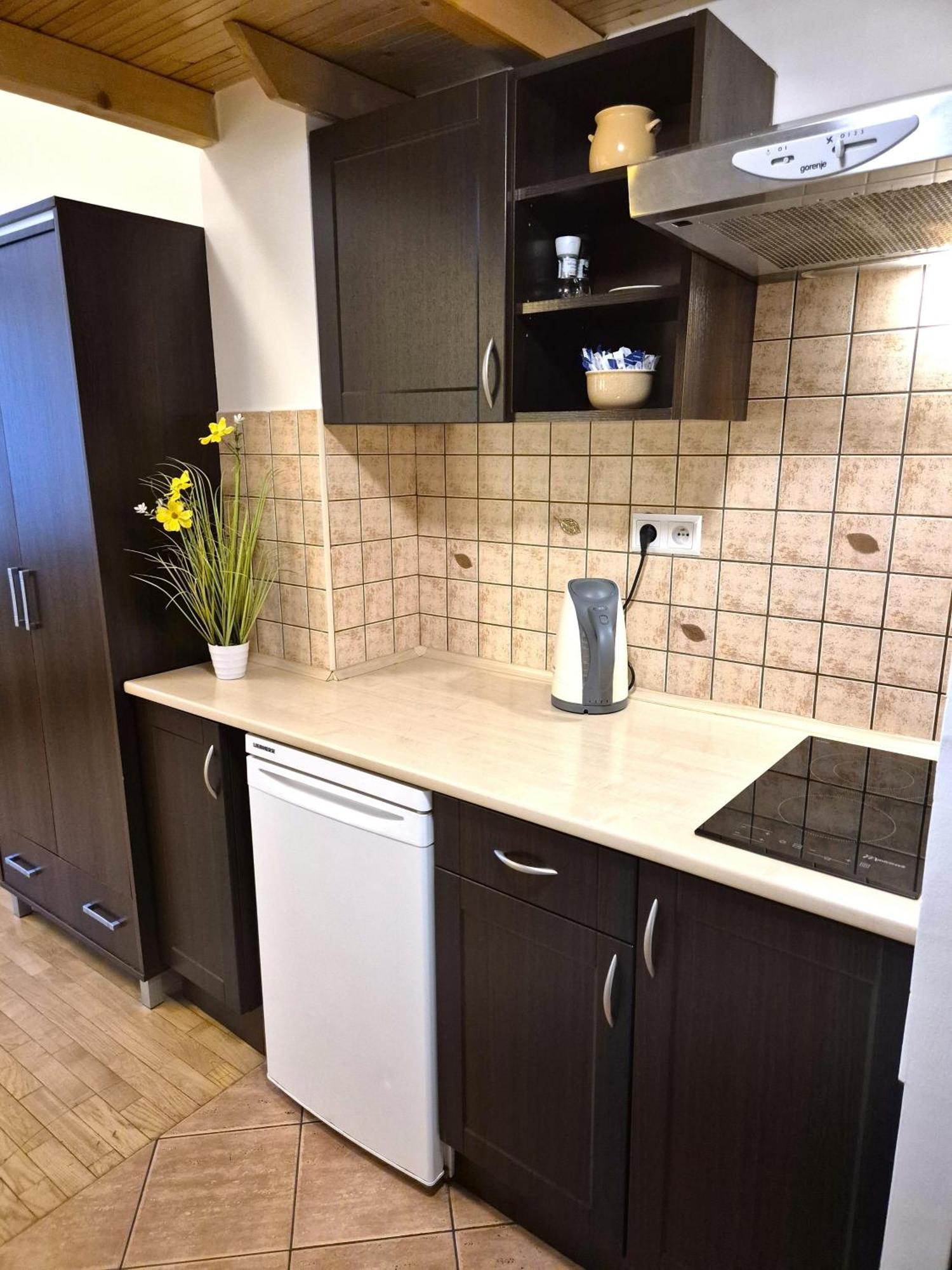 Safona - Pantheon Apartments Krakow Exterior photo